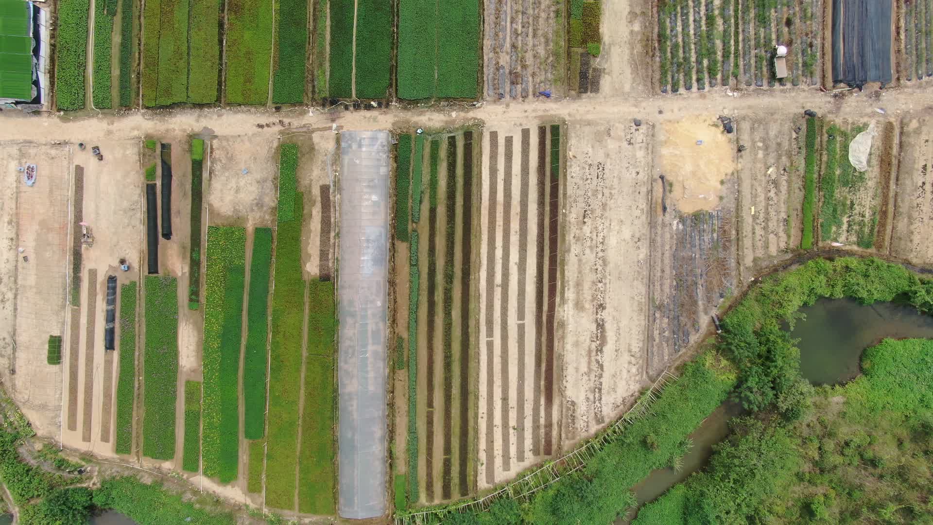 俯拍花圃种植基地视频的预览图