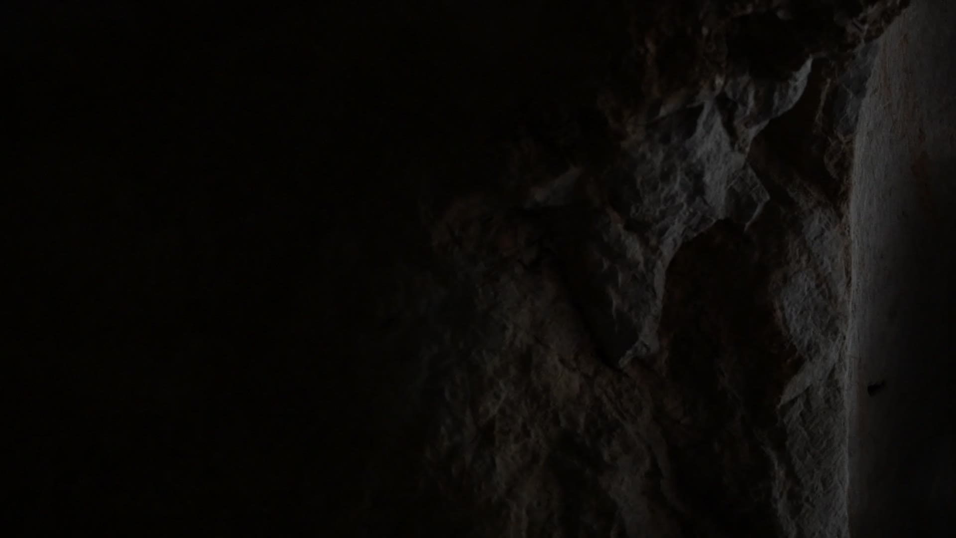 杭州西湖景区烟霞洞视频的预览图