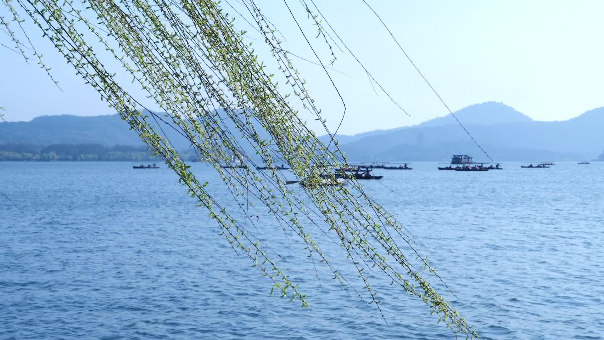 杭州西湖白堤景区视频的预览图