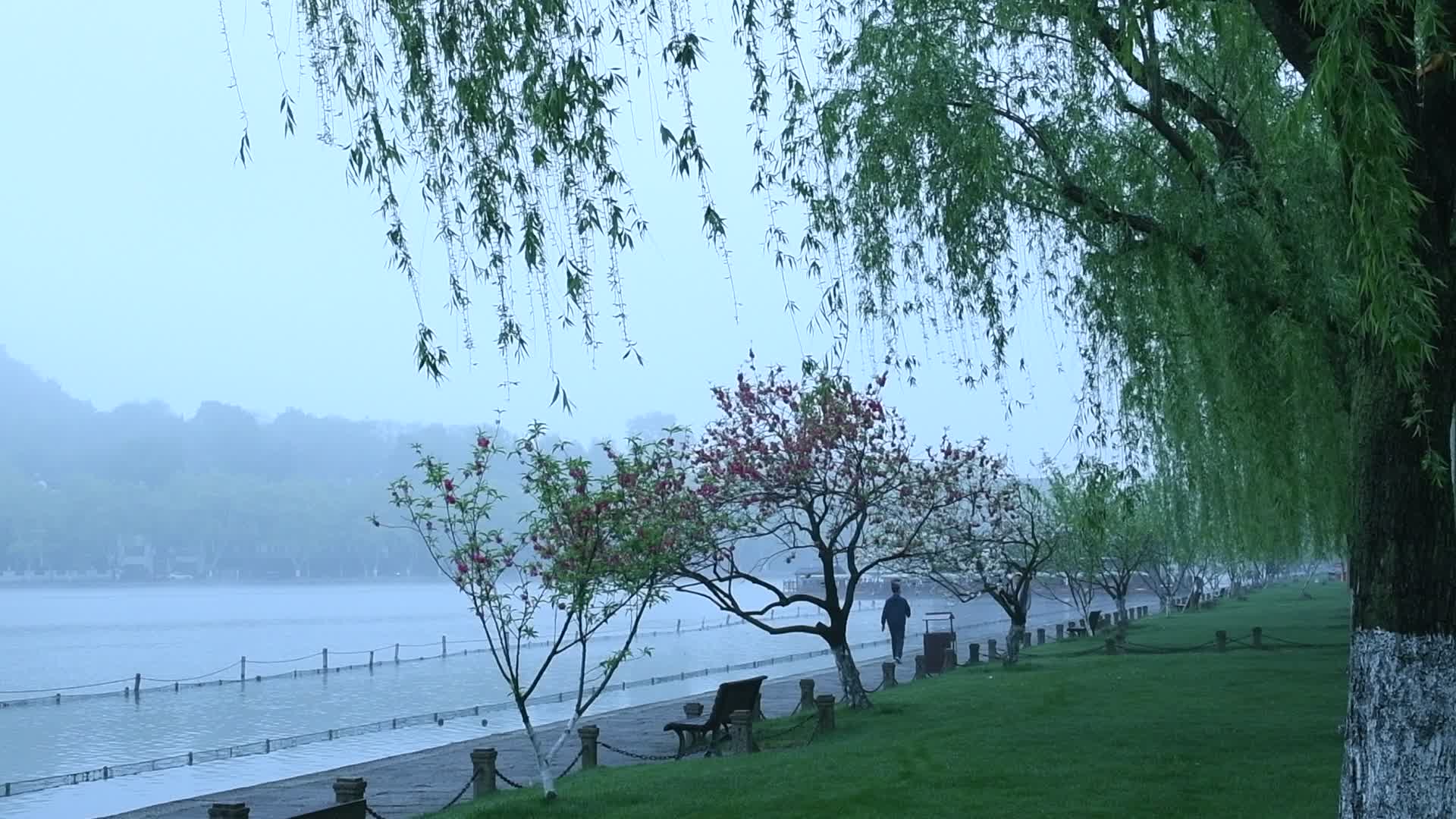 杭州西湖白堤景区视频的预览图