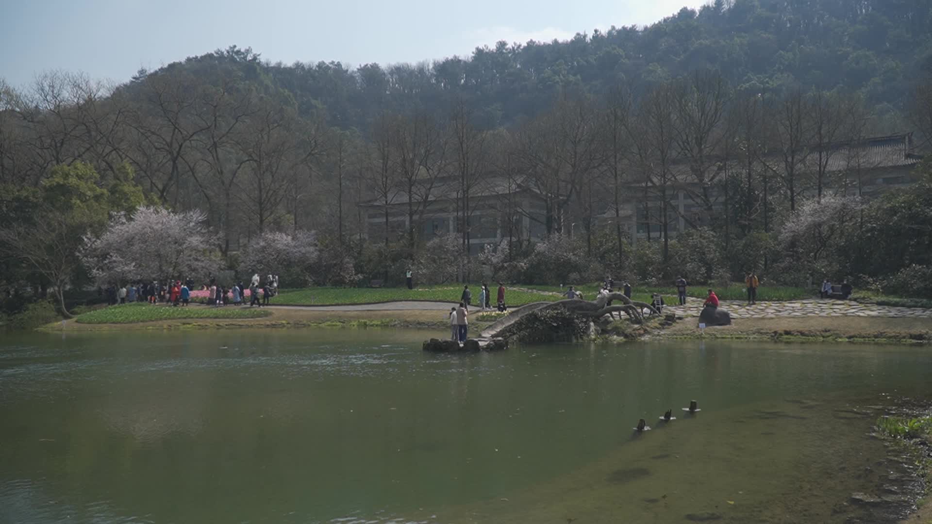 杭州西湖太子湾公园视频的预览图