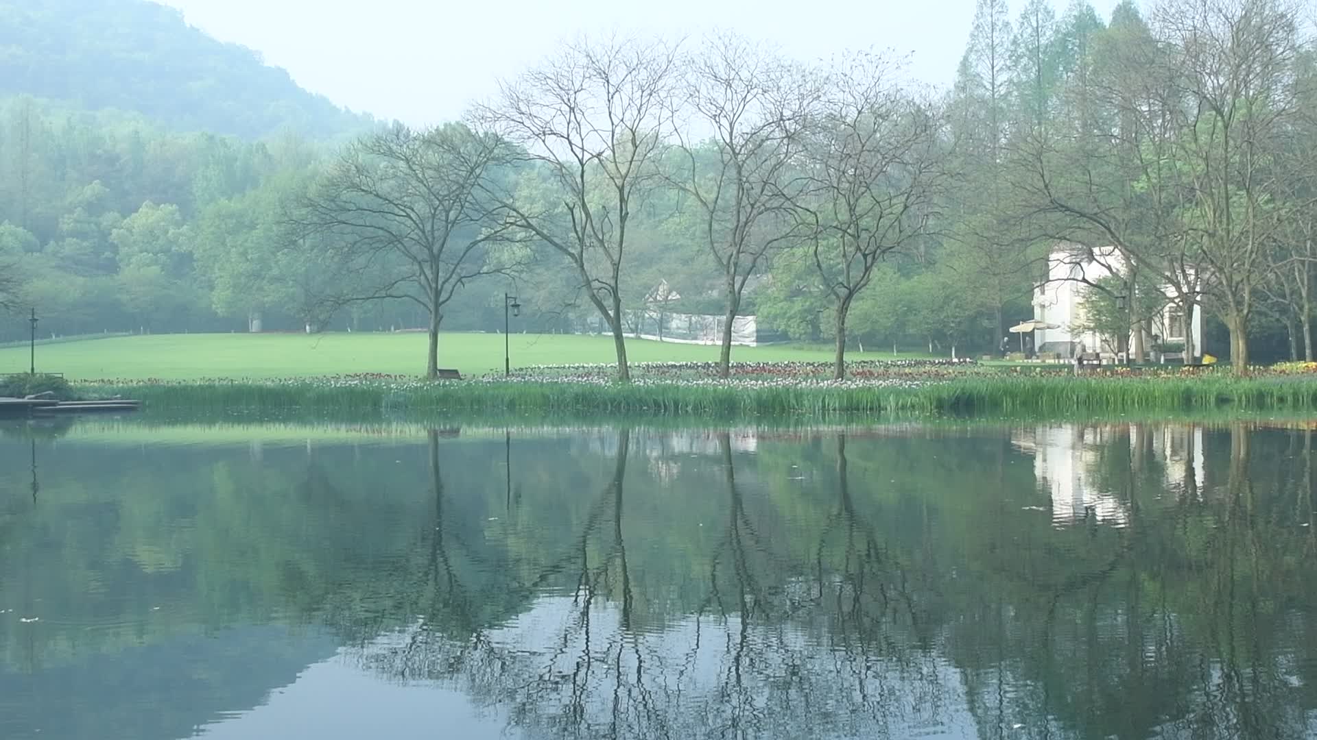 杭州西湖太子湾公园视频的预览图
