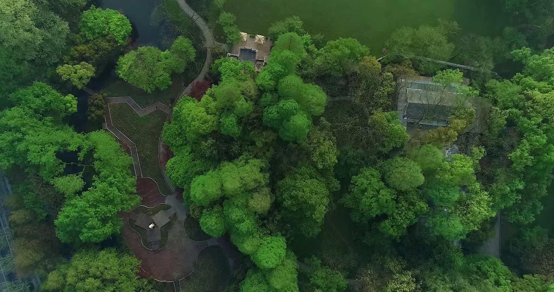 杭州西湖太子湾公园航拍视频的预览图