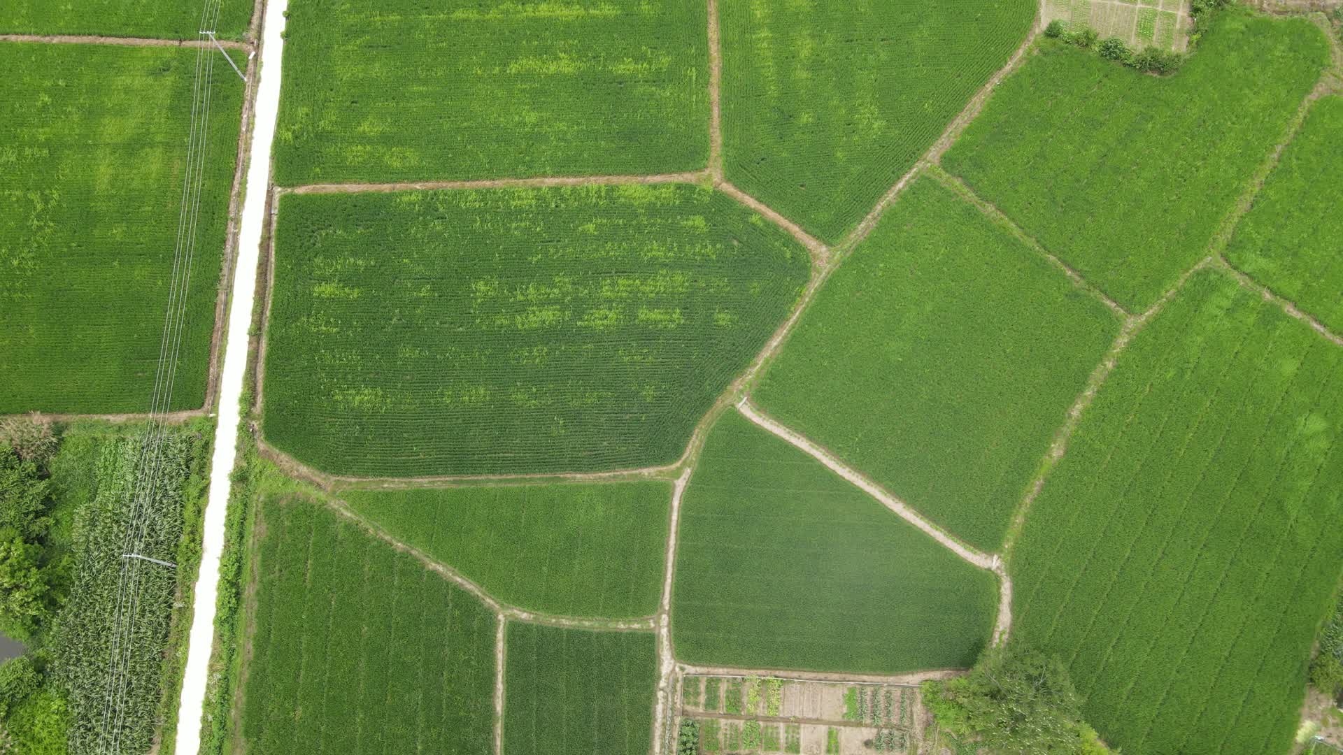 航拍绿色田园农业种植视频的预览图