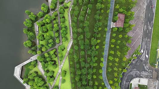 湖北荆州城市绿化植物航拍视频的预览图