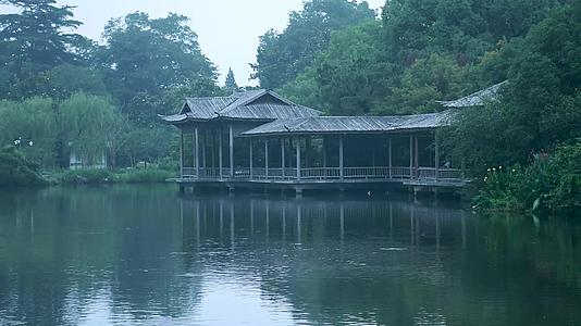杭州西湖景区花港观鱼雾景视频的预览图
