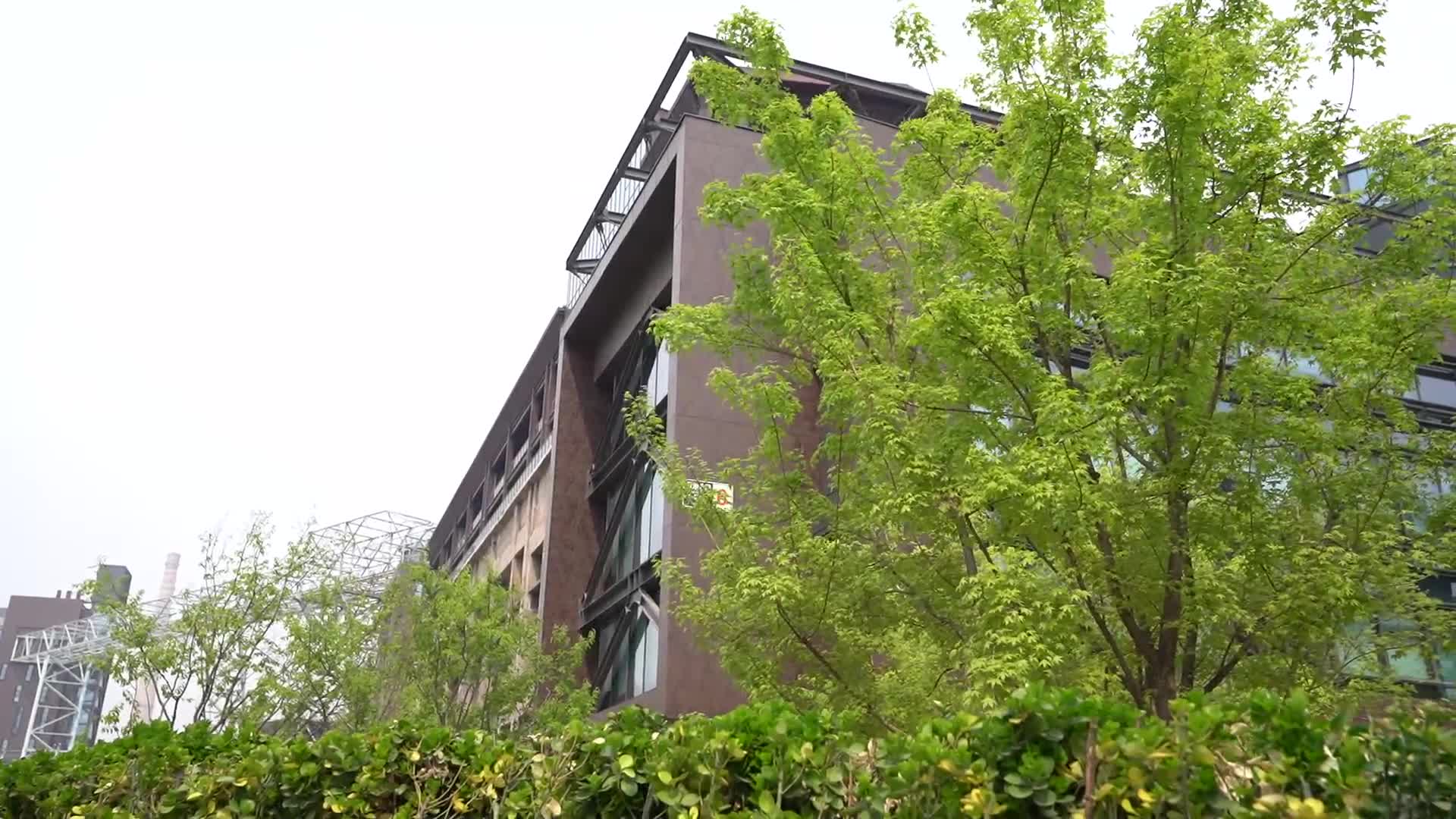 镜头合集春季楼宇河边绿化带植物视频的预览图