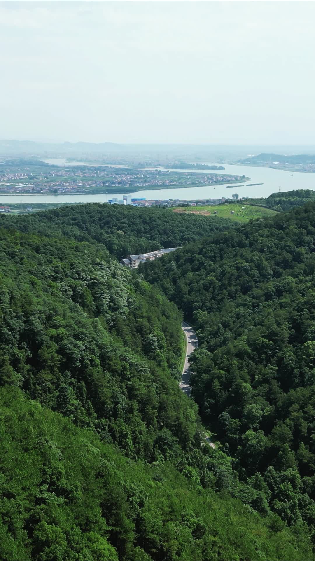 绿色植物森林竖屏航拍视频的预览图