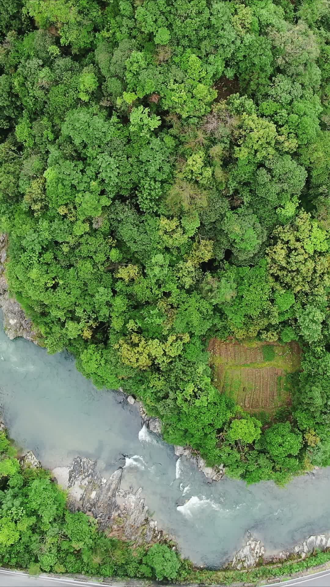 俯拍山谷溪流自然风光竖屏视频的预览图