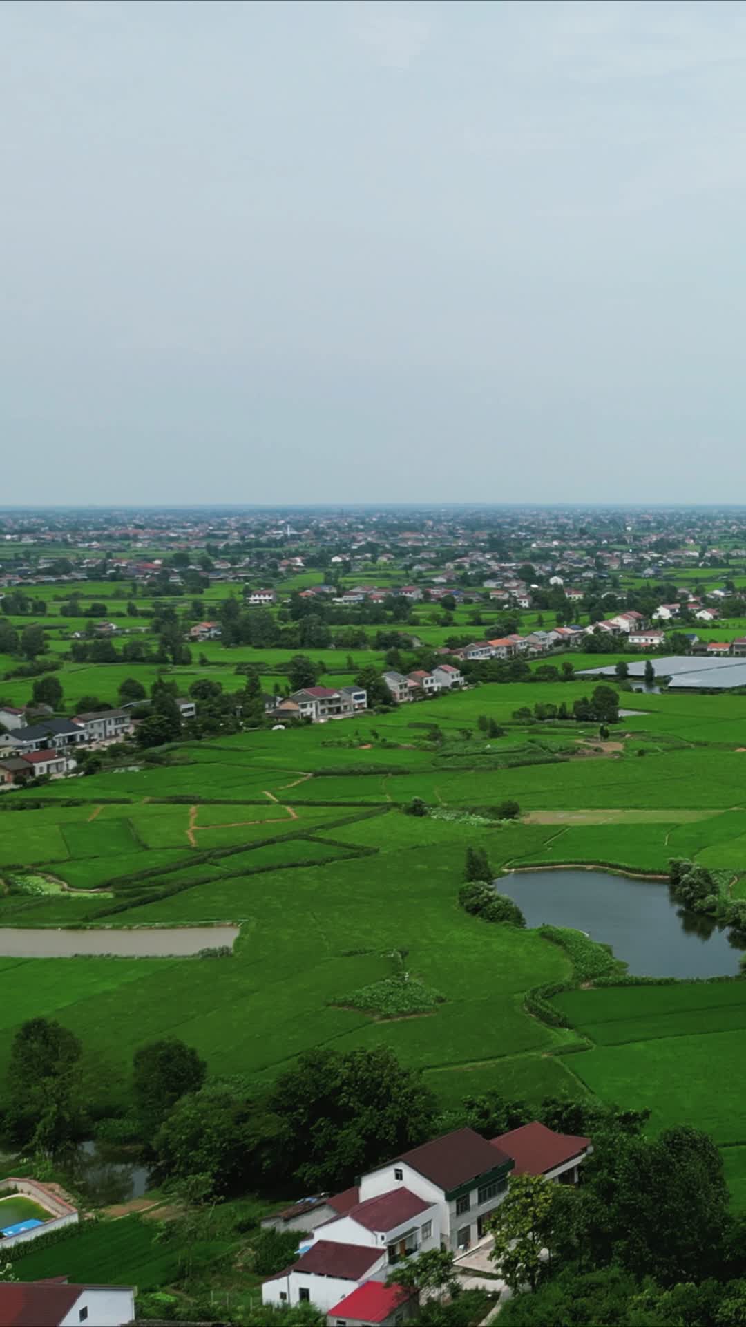 航拍夏日绿色田园农业种植竖屏视频的预览图