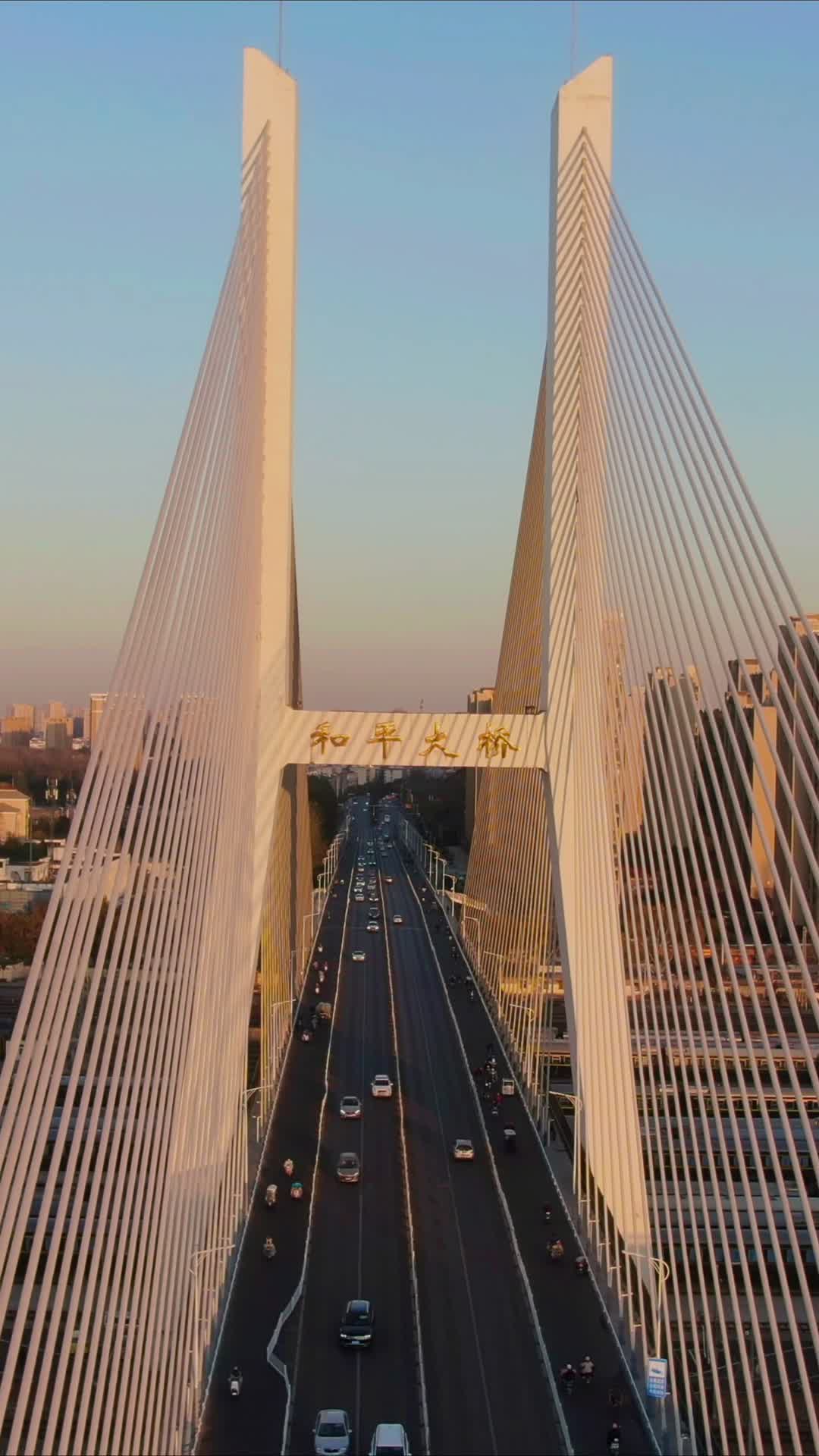 航拍江苏徐州和平大桥视频的预览图