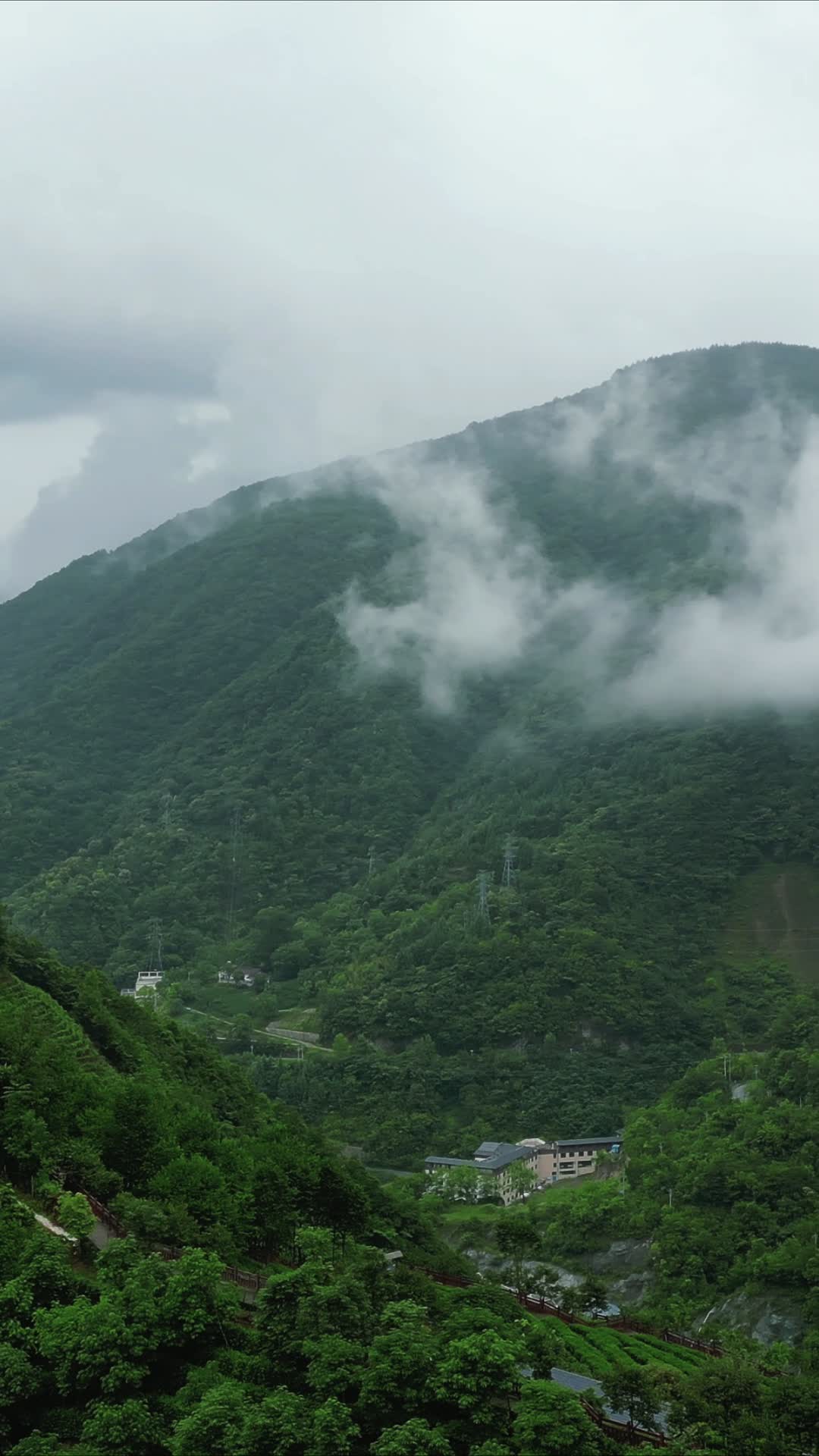 航拍高山森林云雾视频的预览图