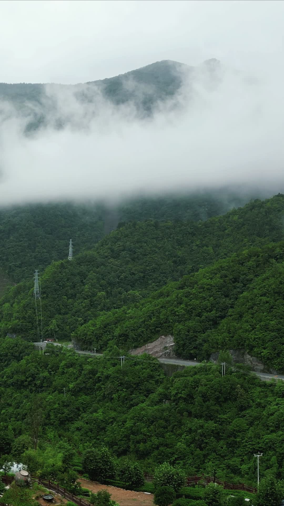 航拍高山森林云雾视频的预览图