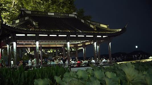 杭州西湖景区断桥夜景视频的预览图