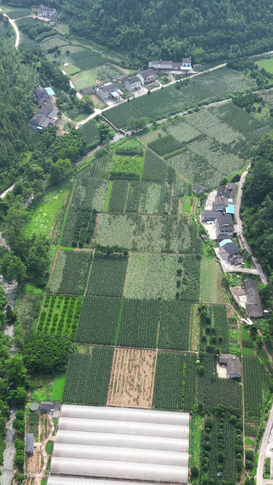 航拍山谷里的农业种植地视频的预览图