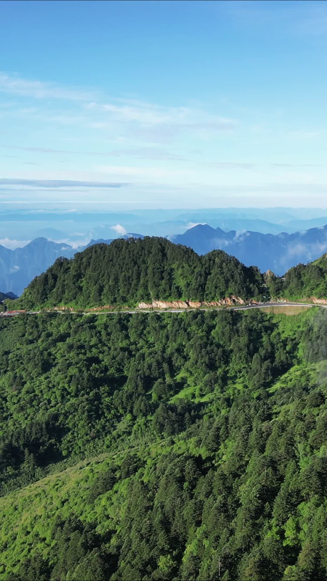 航拍湖北神农架景区高山森林自然风光视频的预览图