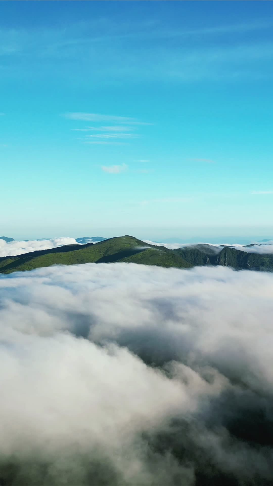 航拍湖北神农架景区云海视频的预览图