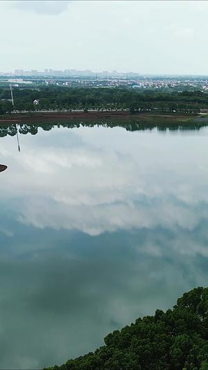 水面倒影蓝天白云常德清江湖竖屏航拍视频的预览图