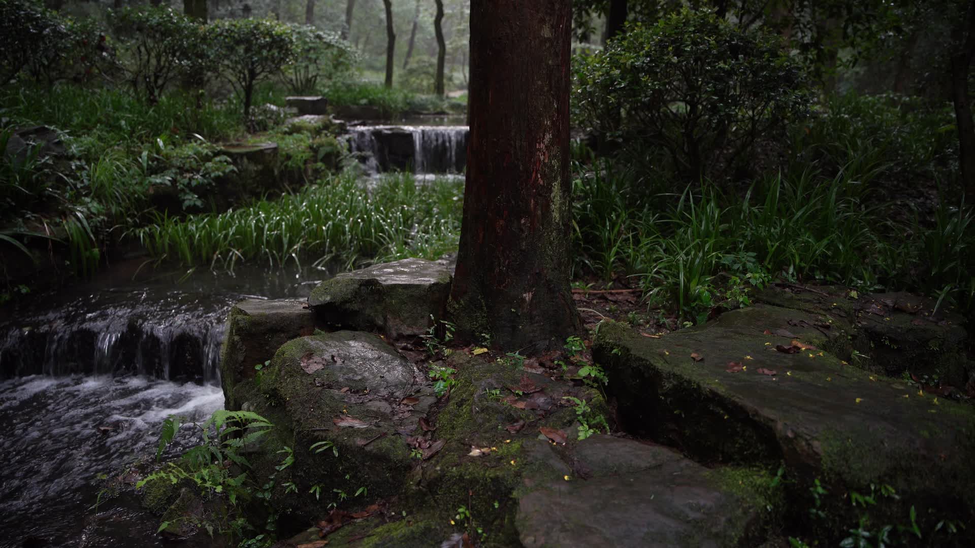 杭州西湖景区虎跑公园视频的预览图