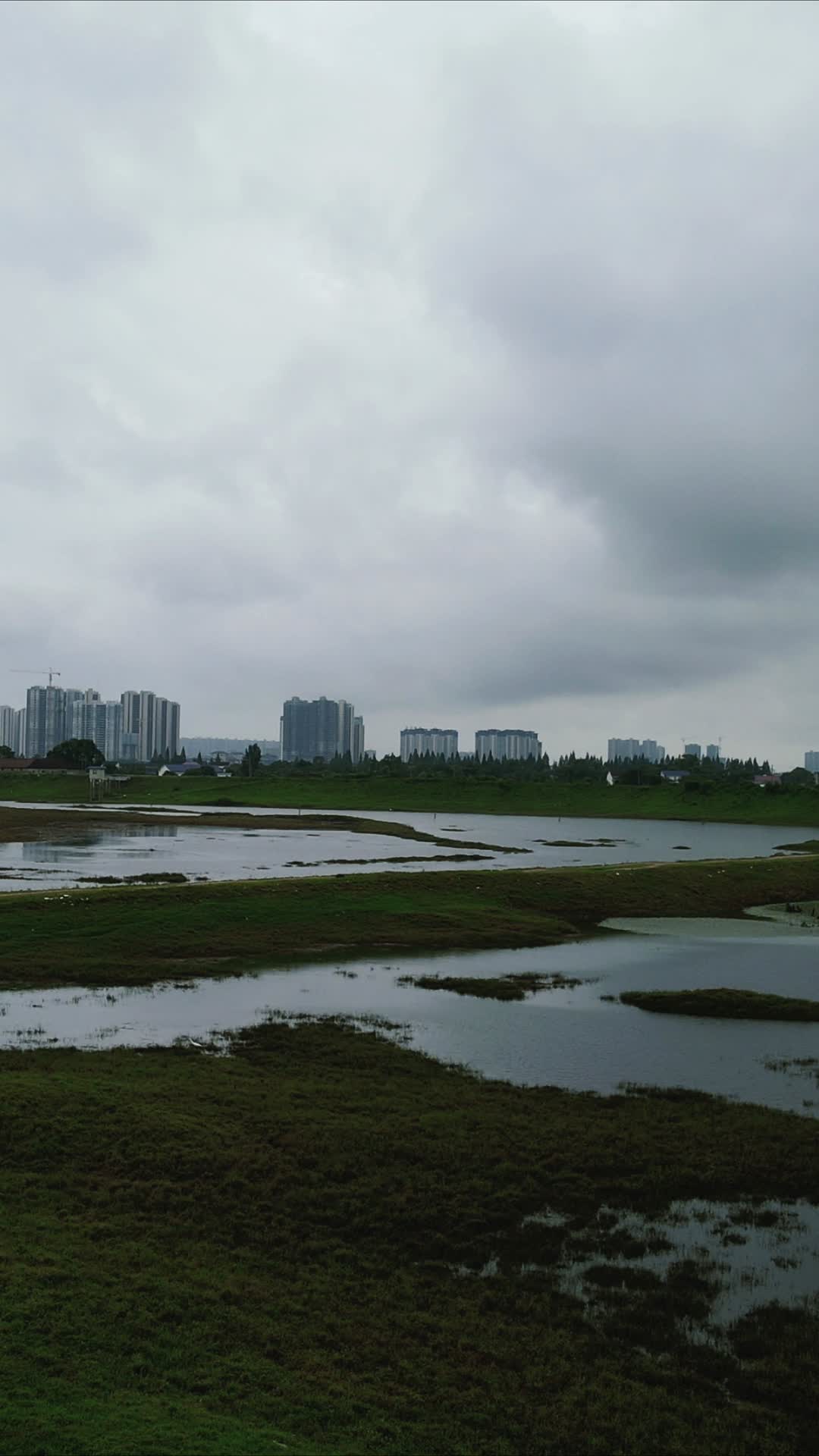 航拍湖南岳阳汨罗江国家湿地公园视频的预览图