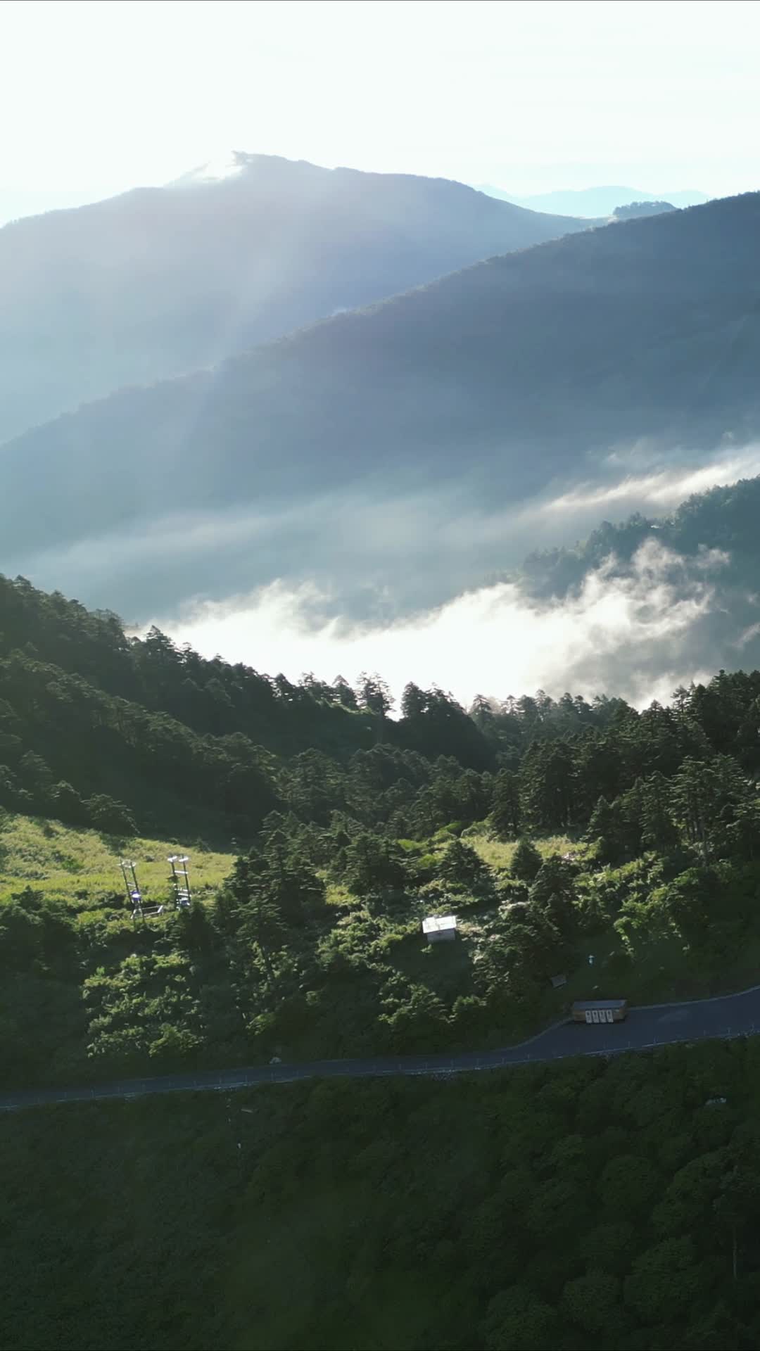 航拍湖北神农架景区云海视频的预览图