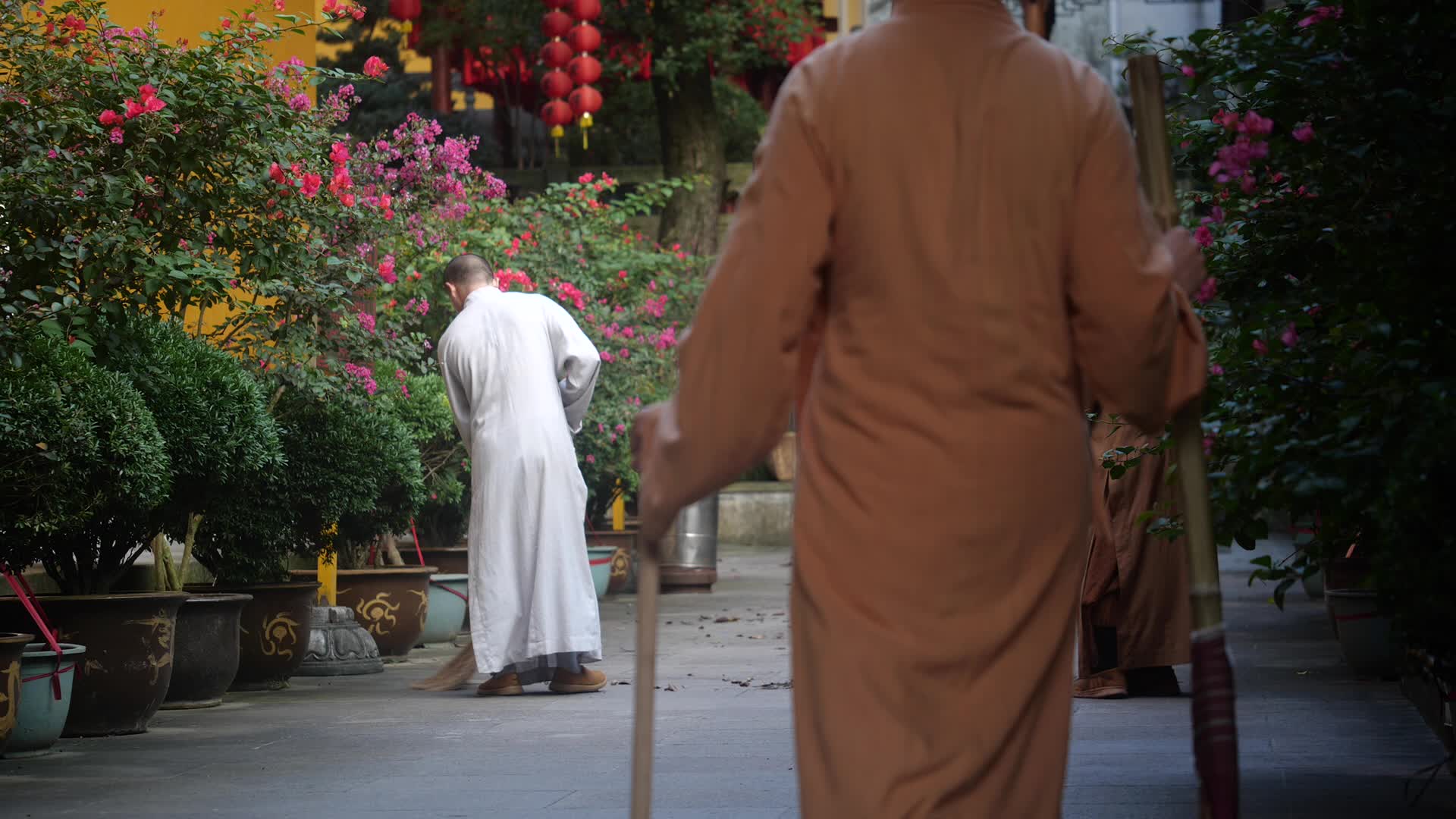 杭州千年古刹上天竺僧人扫地视频的预览图