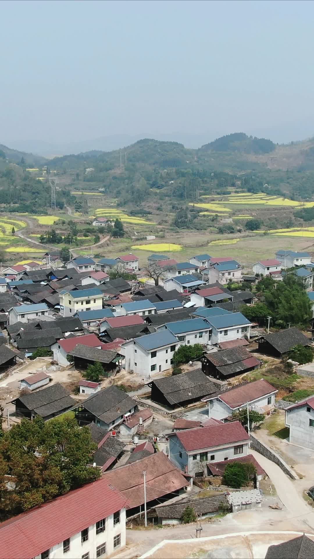 湖南传统村落油菜花竖屏航拍视频的预览图