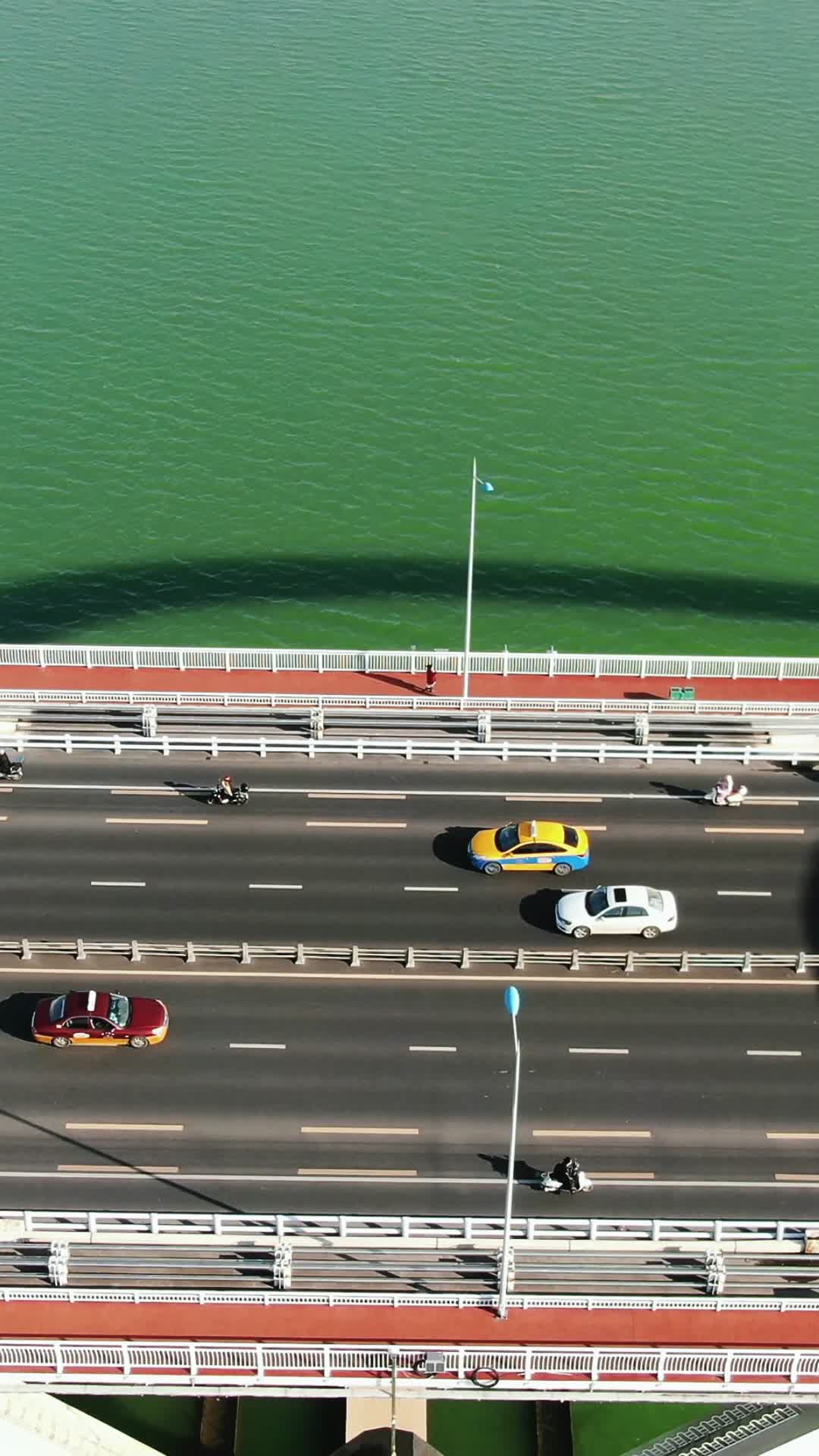 广西柳州广雅大桥竖屏航拍视频的预览图