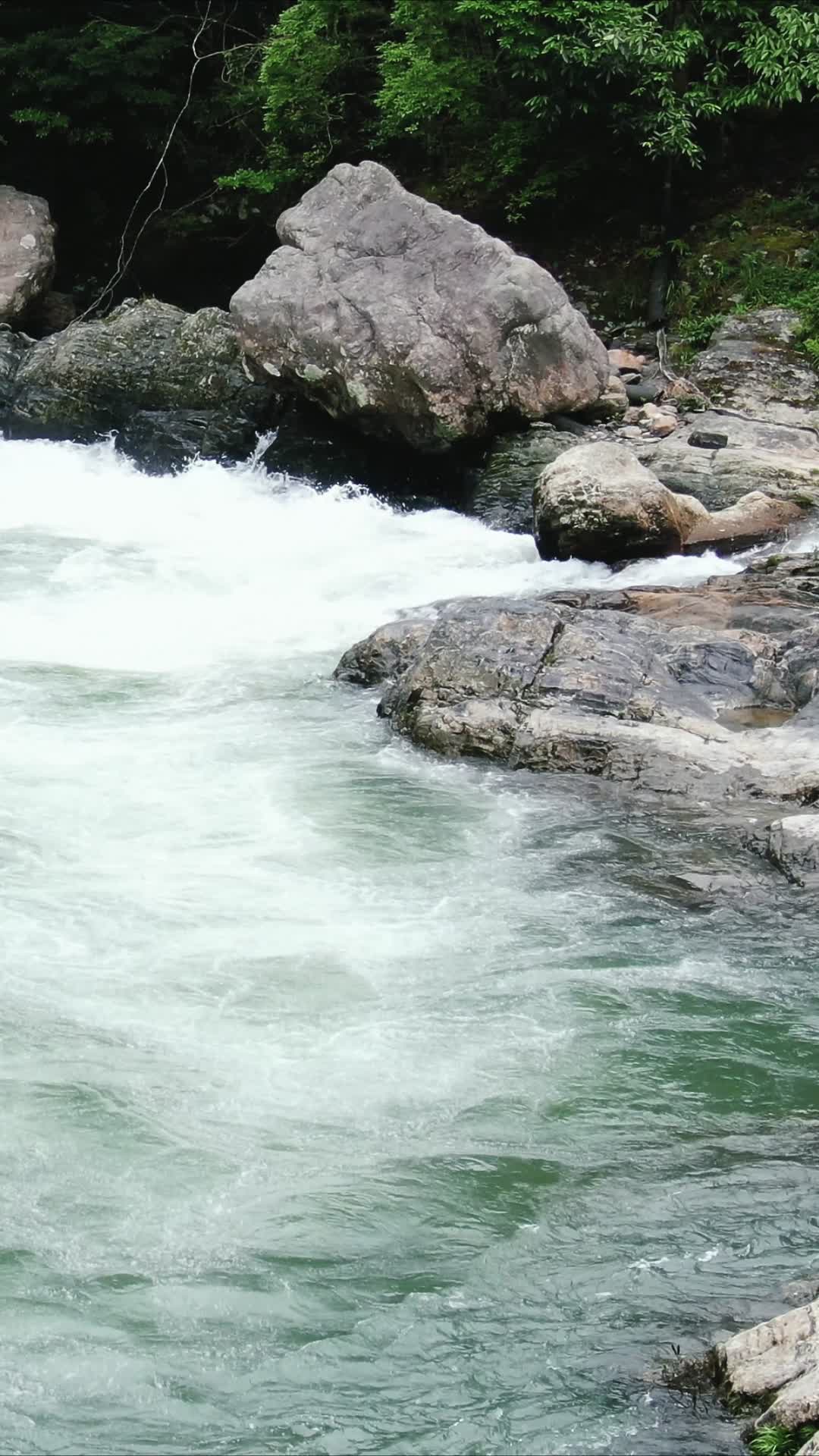 山间溪流流水竖屏航拍视频的预览图