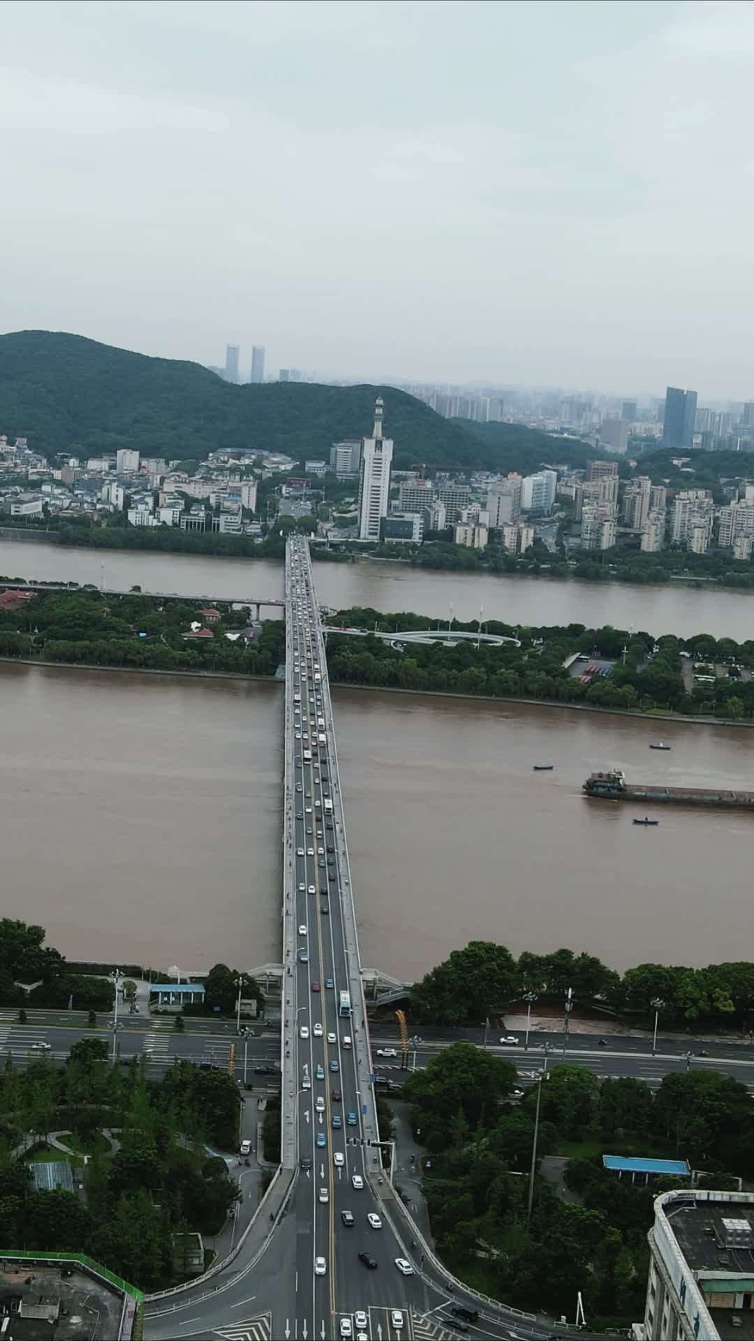 湖南长沙橘子洲大桥竖屏航拍视频的预览图