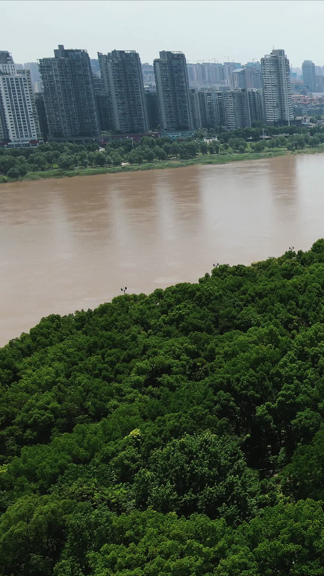 湖南株洲湘江洪水竖屏航拍视频的预览图