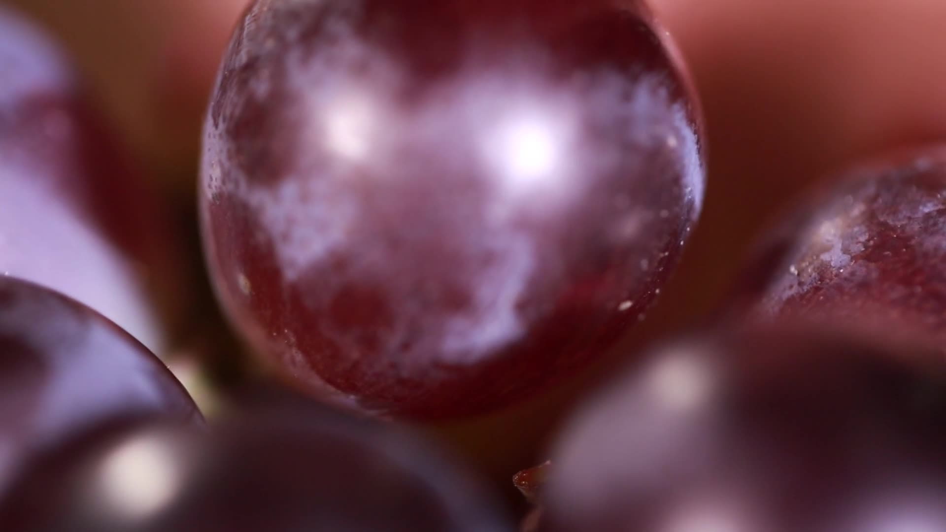 镜头合集成熟的一串葡萄提子视频的预览图