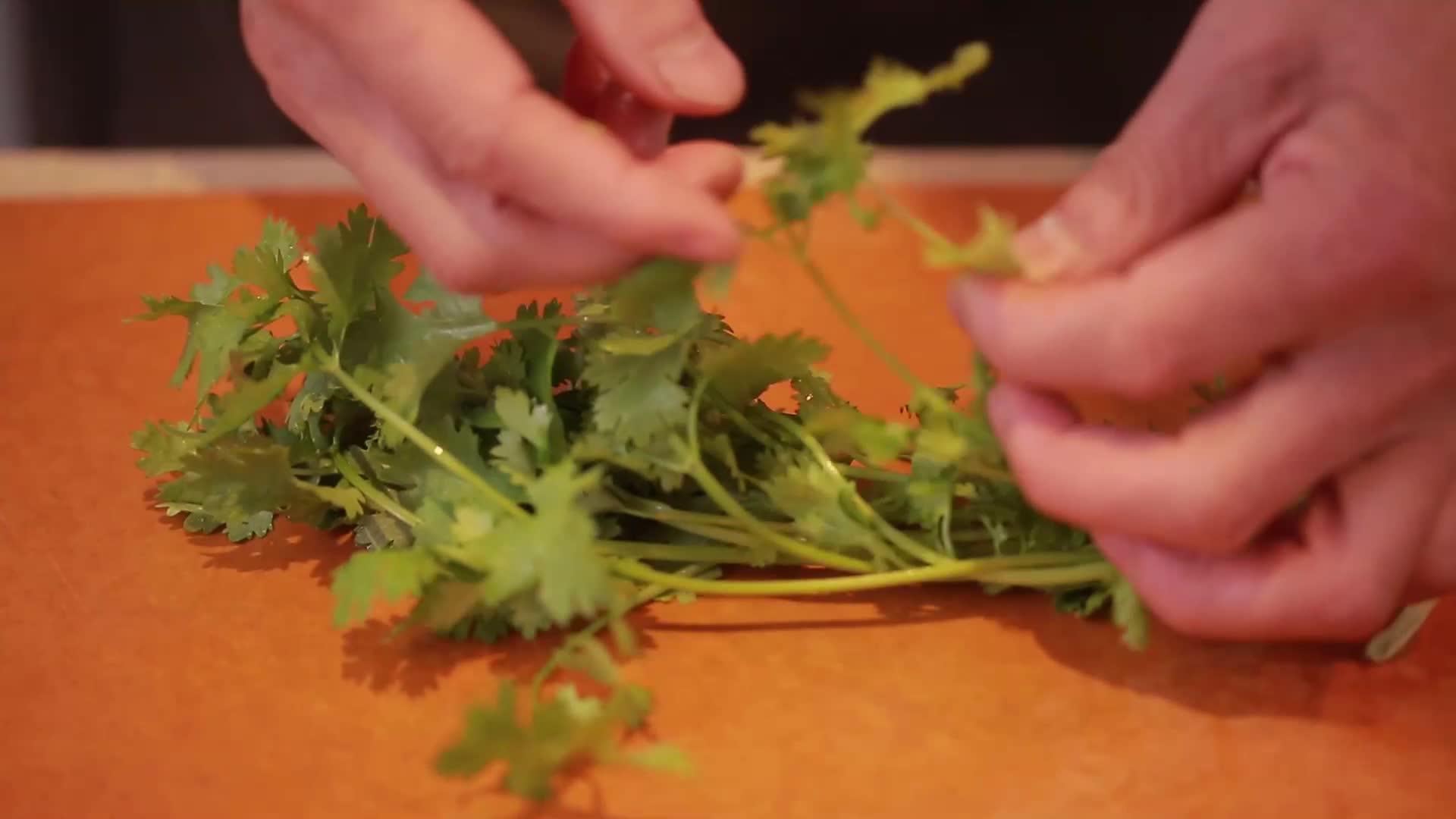 镜头合集菜刀切香菜视频的预览图