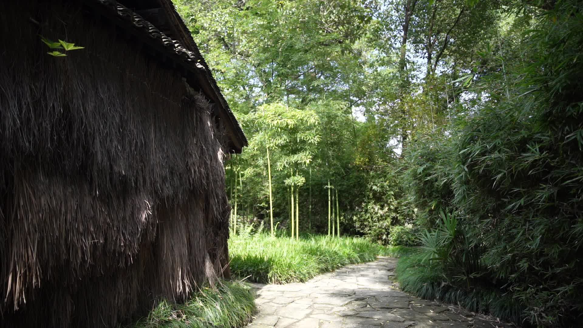 杭州西溪国家湿地公园梅竹山庄视频的预览图