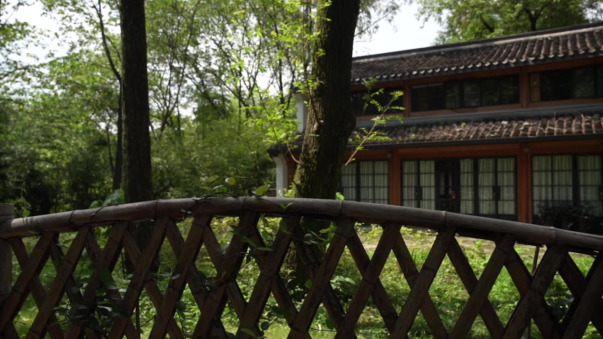 杭州西溪国家湿地公园十里芳菲丁香圃视频的预览图