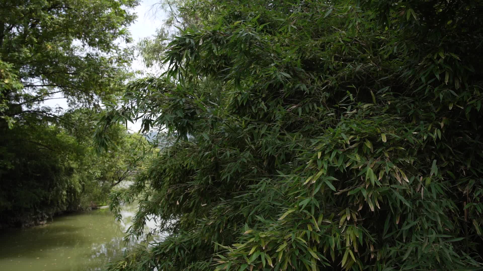 杭州西溪国家湿地公园周家村入口视频的预览图