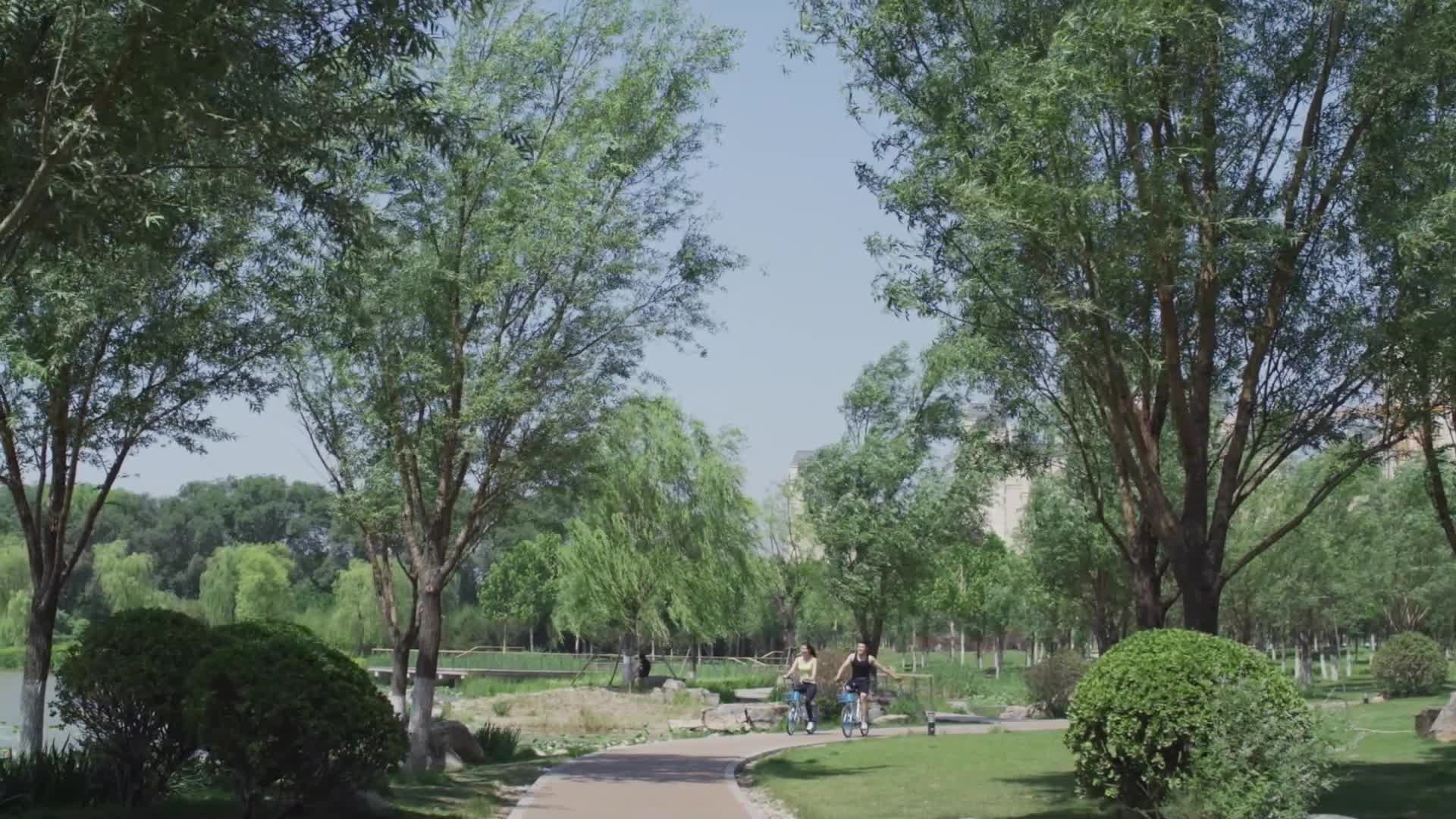 情侣公园跑步骑自行车恩爱情侣锻炼身体视频的预览图