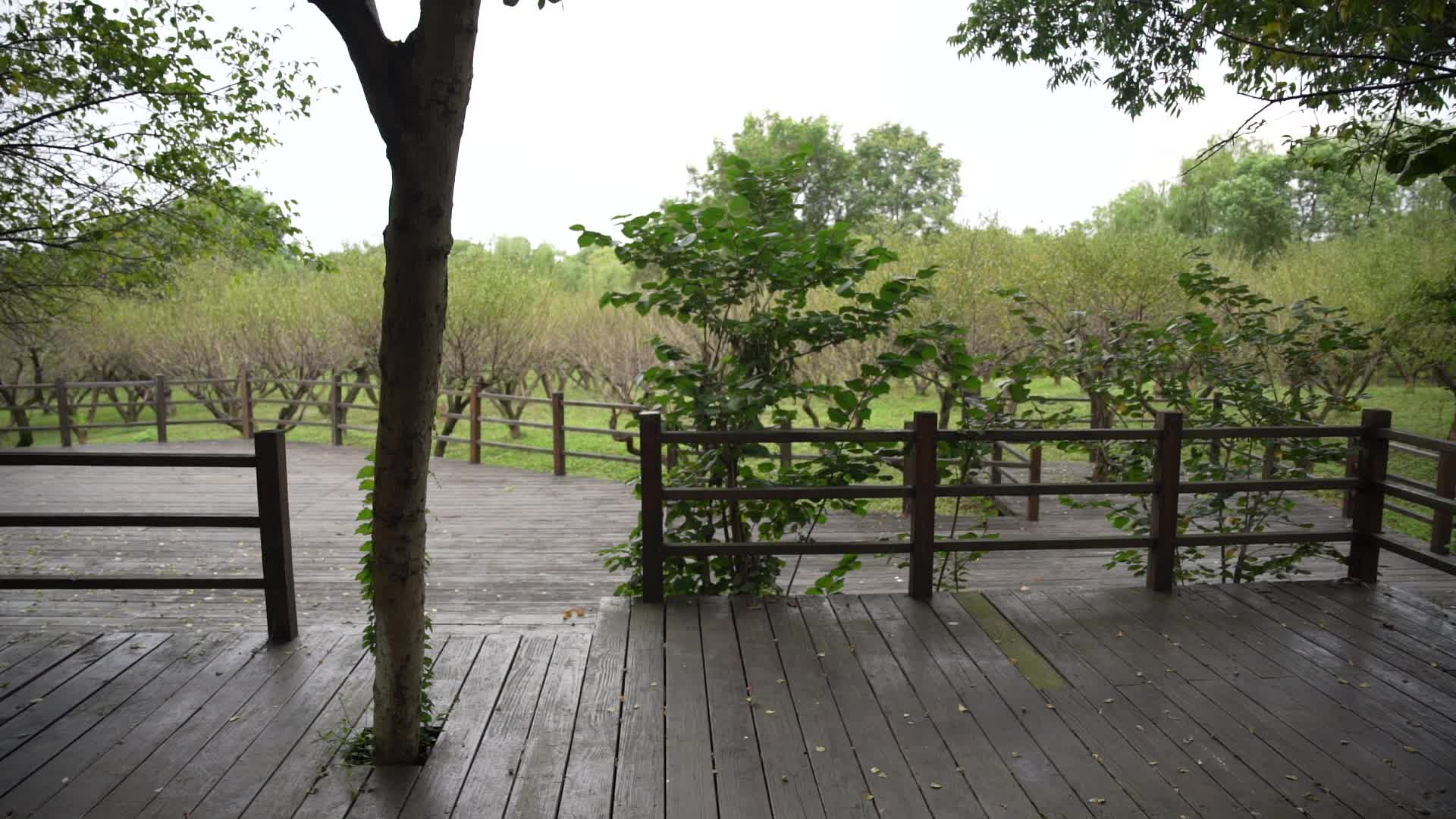 杭州西溪国家湿地公园西溪梅墅视频的预览图
