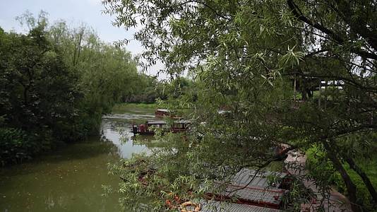 杭州西溪国家湿地公园视频的预览图