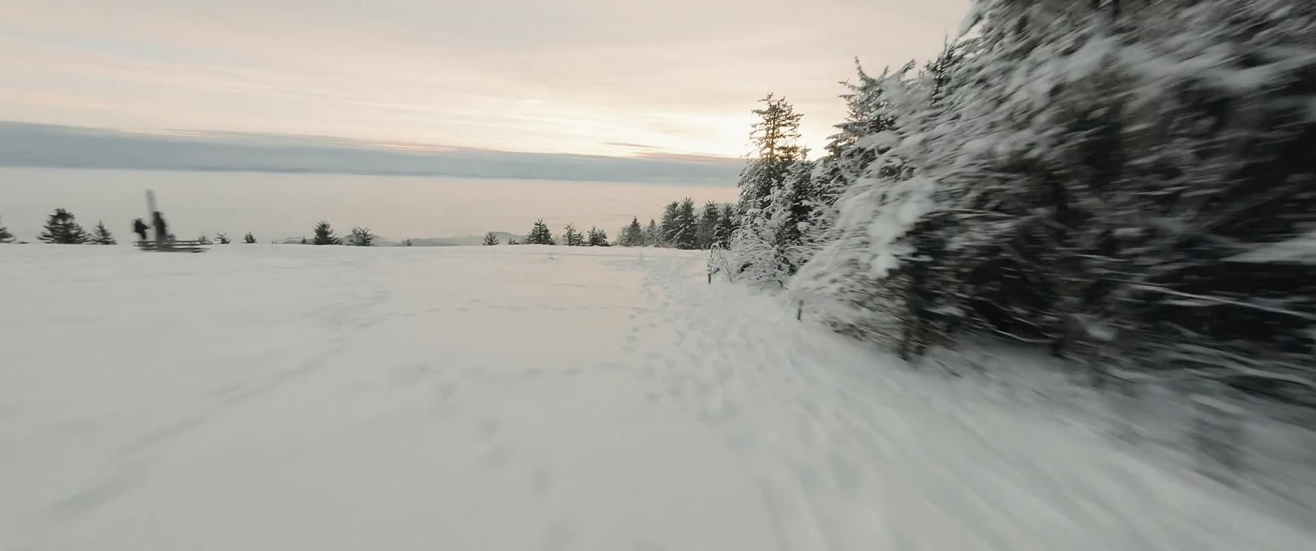 冬季的林海雪原松树和草地视频的预览图