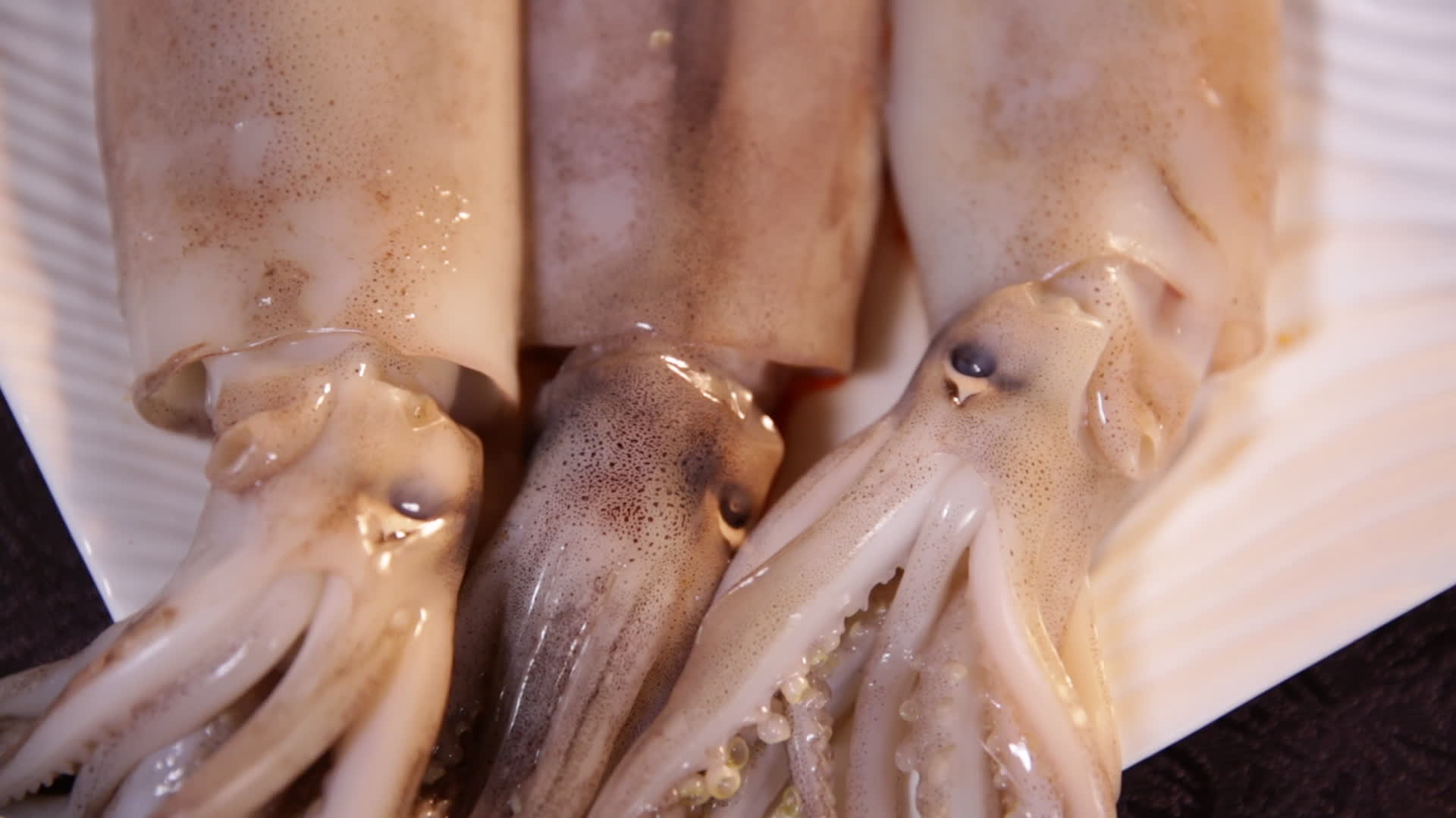 镜头合集鱿鱼乌贼海鲜食材视频的预览图