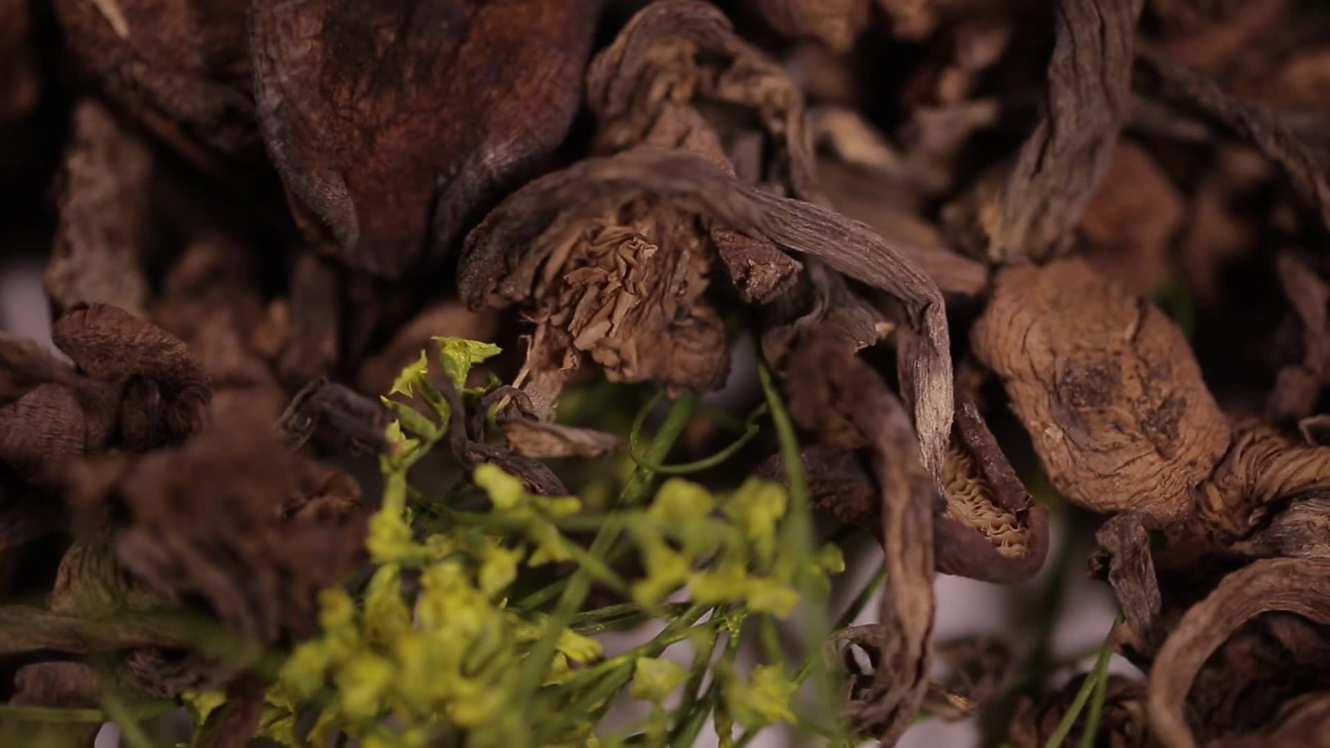 镜头合集榛蘑小鸡炖蘑菇东北特产视频的预览图