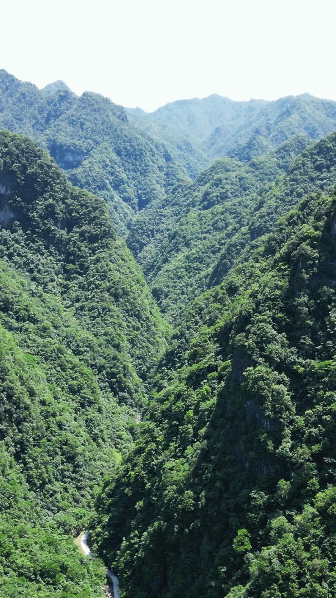航拍湖北神龙大峡谷竖屏视频的预览图