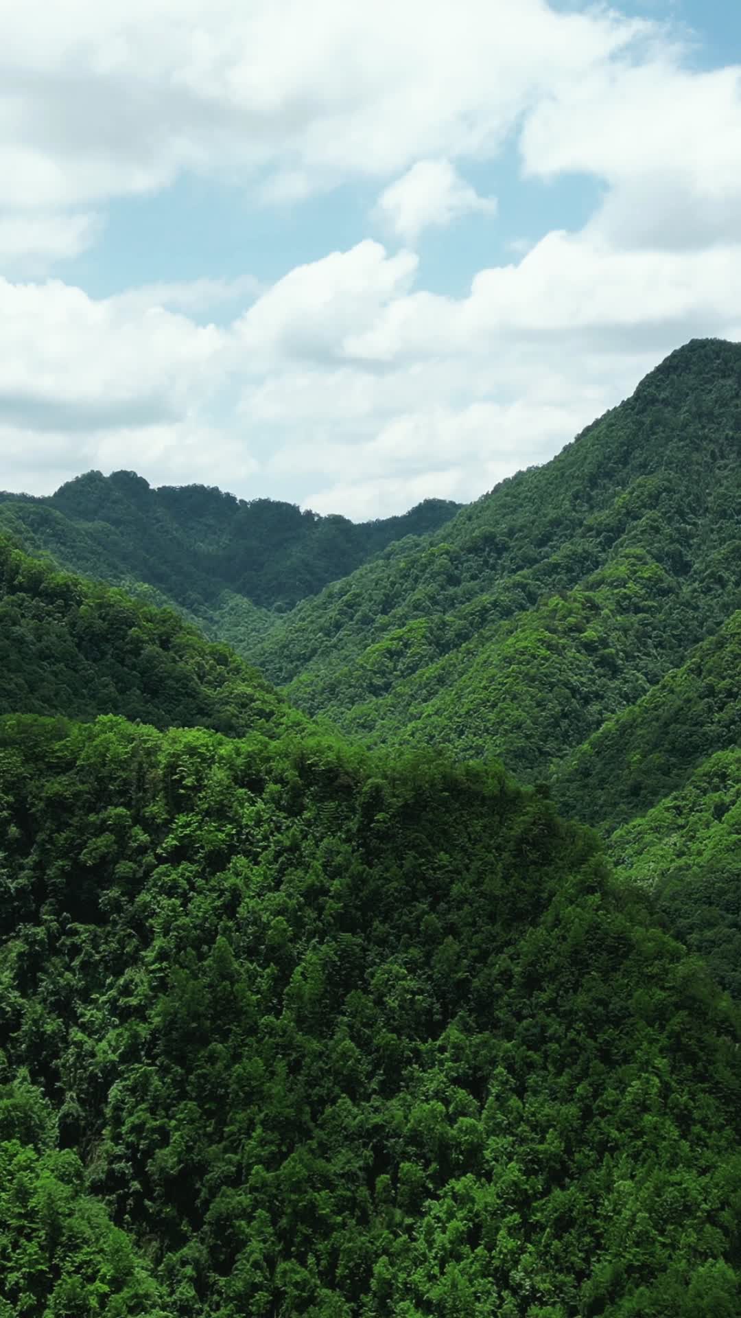 航拍巍峨高山森林自然风光视频的预览图