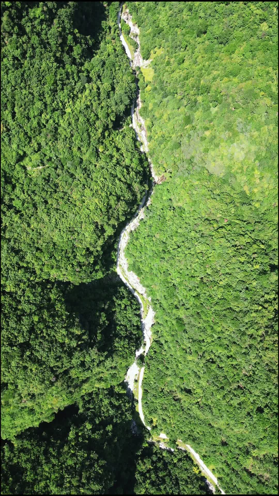 航拍湖北十堰神农大峡谷景区视频的预览图