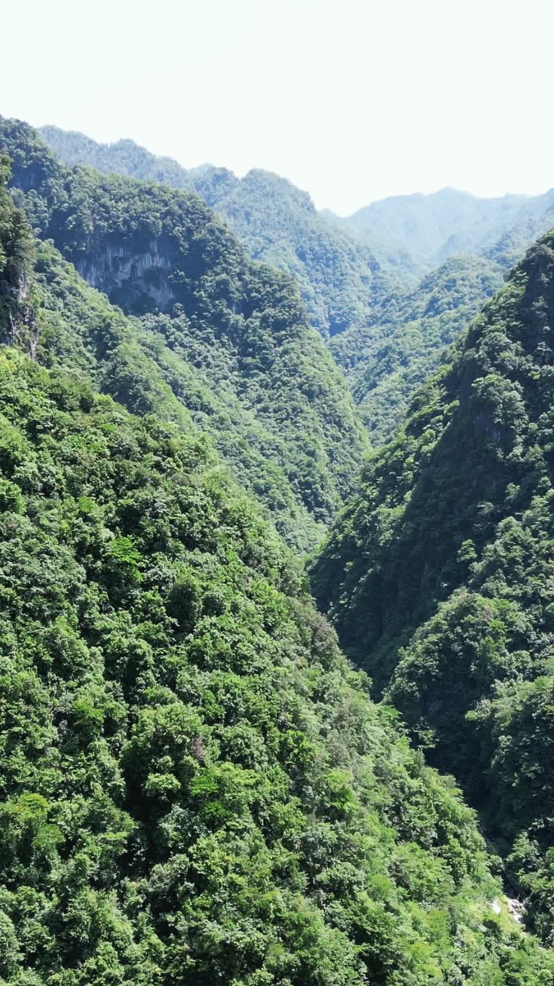 航拍湖北十堰神农大峡谷景区视频的预览图