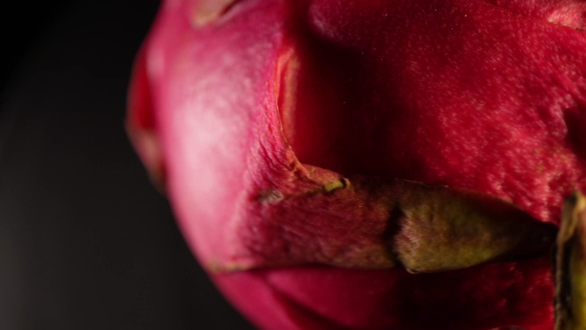火龙果表皮水果视频的预览图