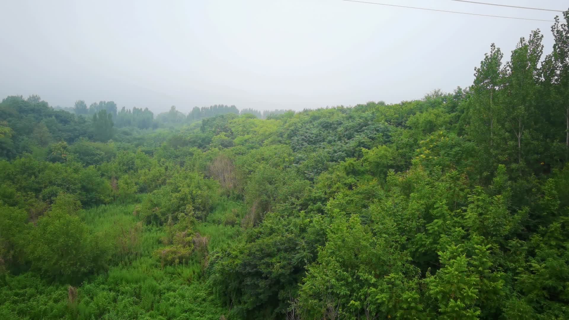 秦岭北麓丰裕河视频的预览图
