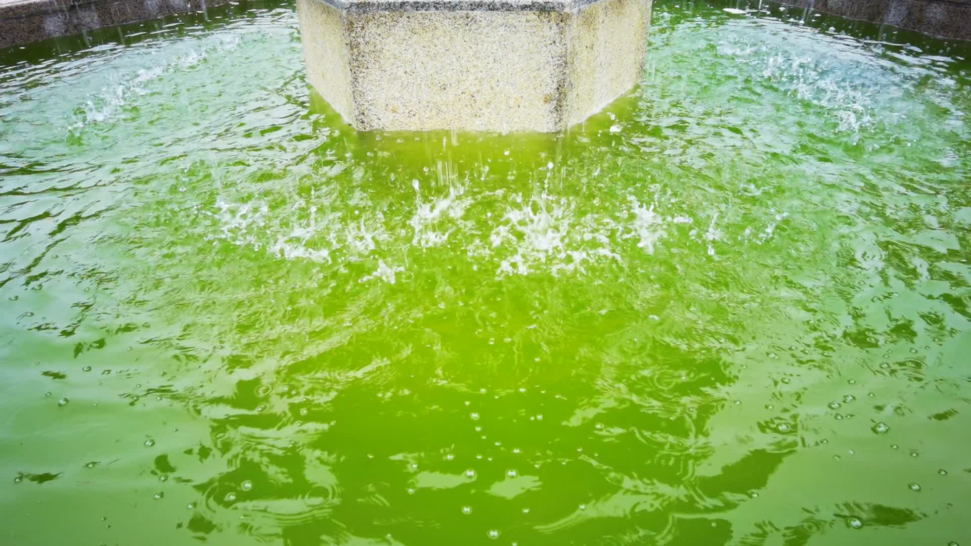 喷泉池水滴视角视频的预览图