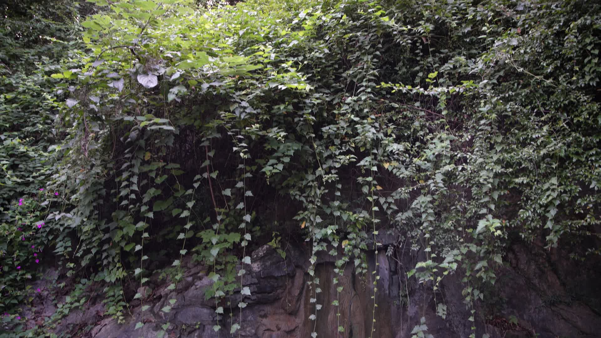 杭州吴山景区泼水观音视频的预览图